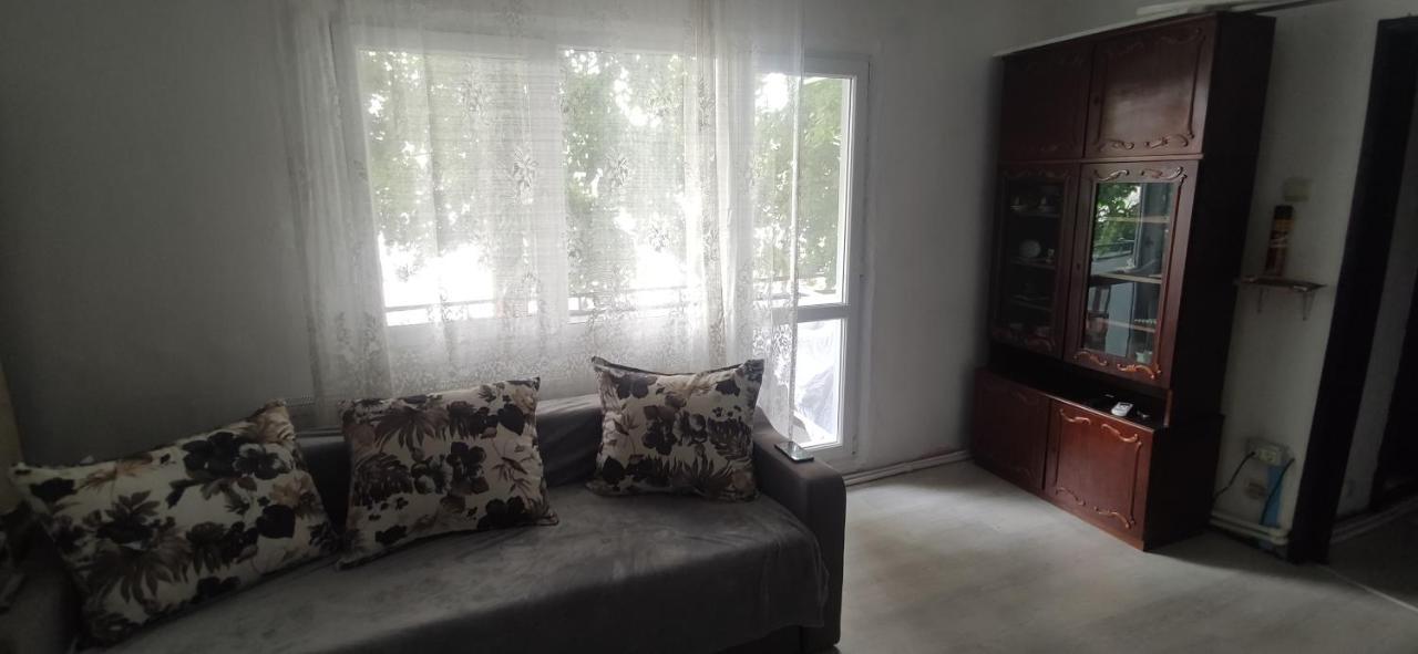 Casa Te Apartment Orşova Esterno foto
