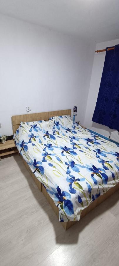 Casa Te Apartment Orşova Esterno foto